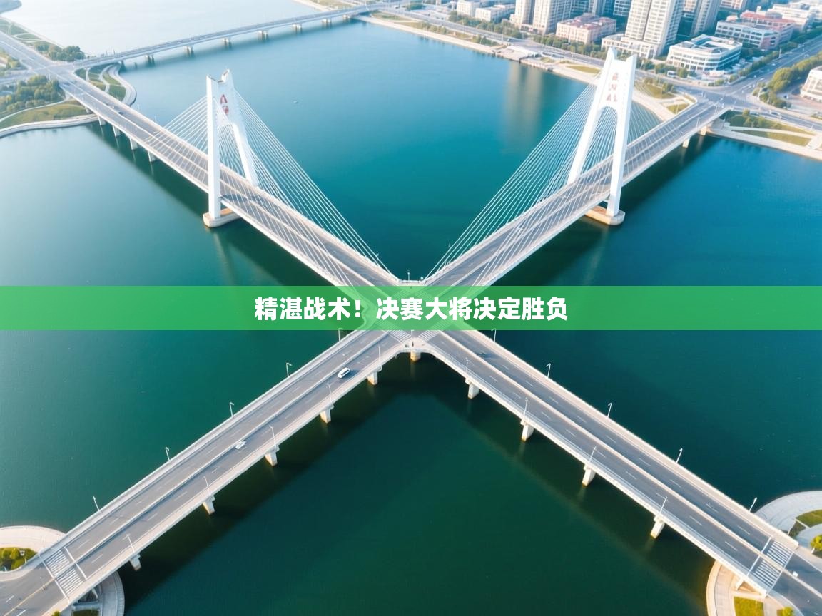 精湛战术！决赛大将决定胜负