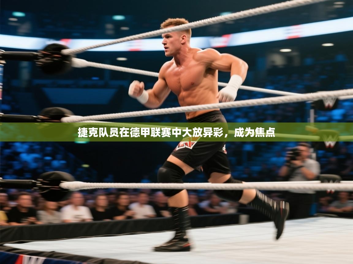 捷克队员在德甲联赛中大放异彩，成为焦点  第2张