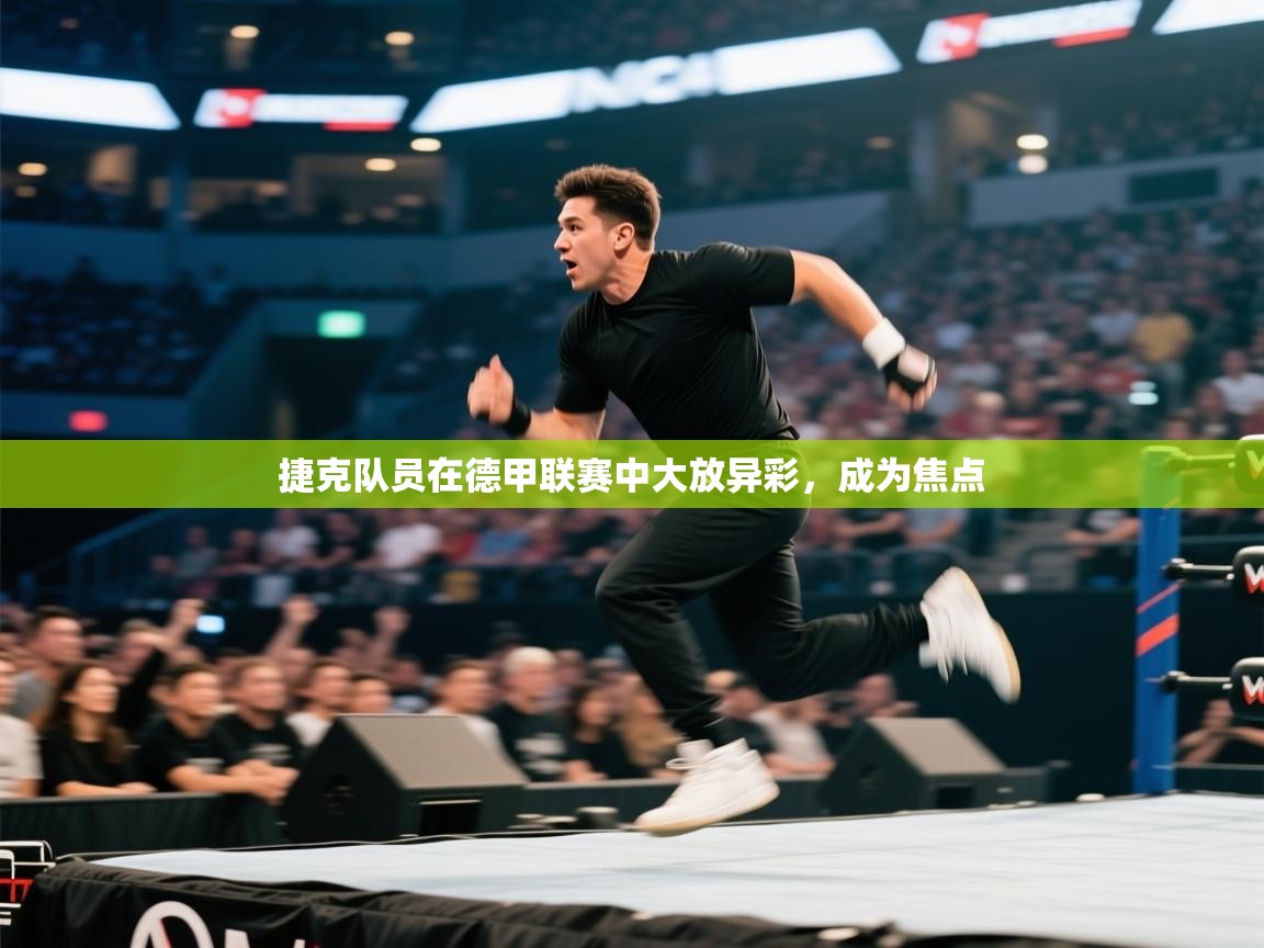 捷克队员在德甲联赛中大放异彩，成为焦点  第1张